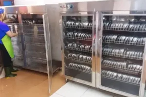 Tủ Sấy Bát Đĩa Công Nghiệp Giá Ở Hà Nội